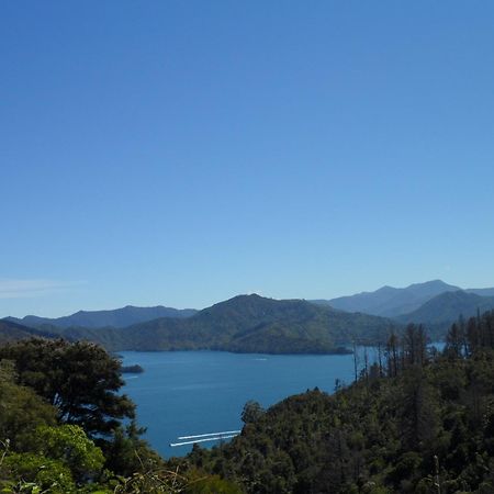 Sequoia Lodge Backpackers Picton Extérieur photo