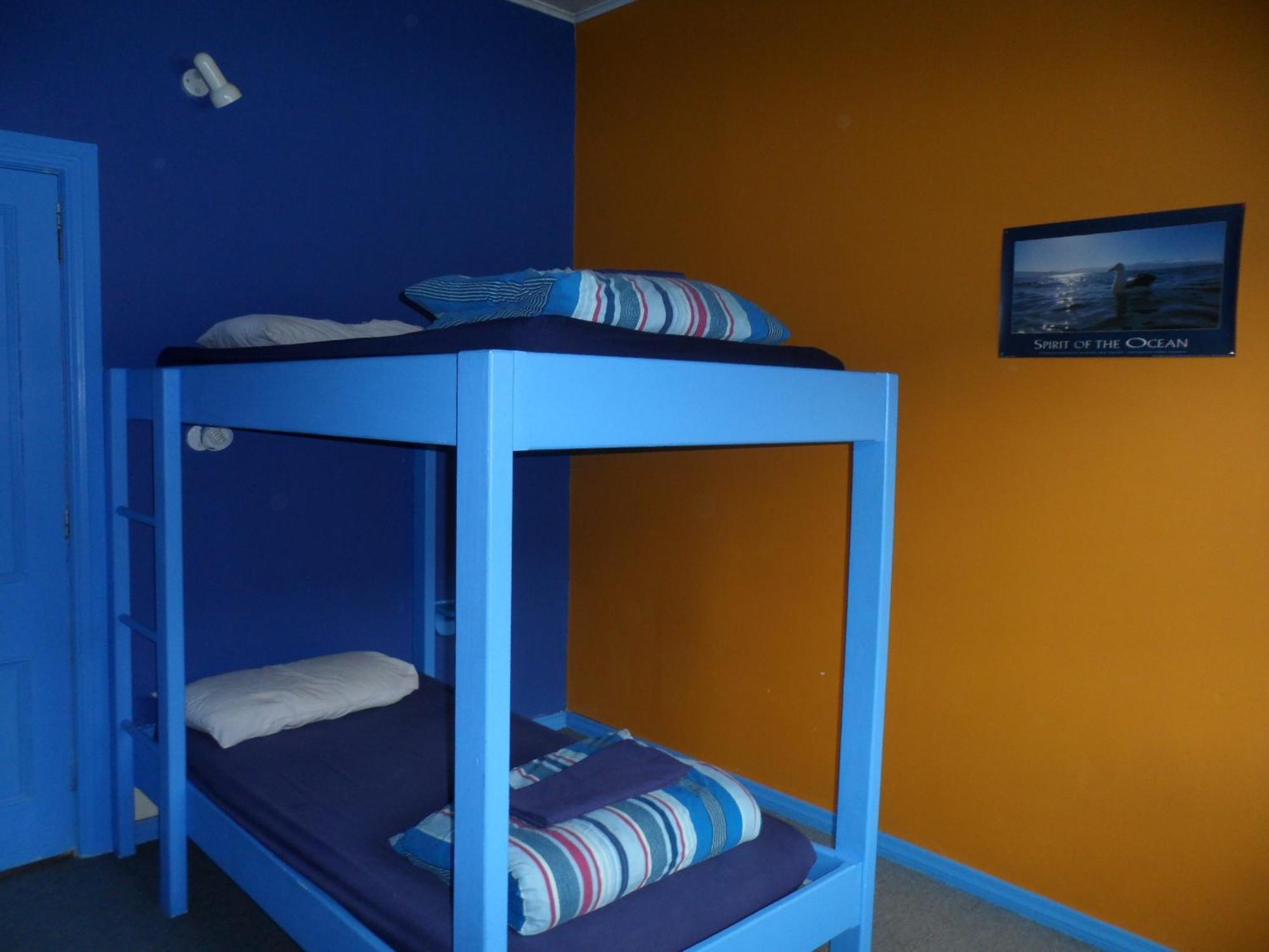 Sequoia Lodge Backpackers Picton Extérieur photo