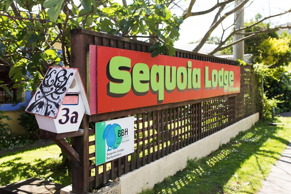 Sequoia Lodge Backpackers Picton Extérieur photo